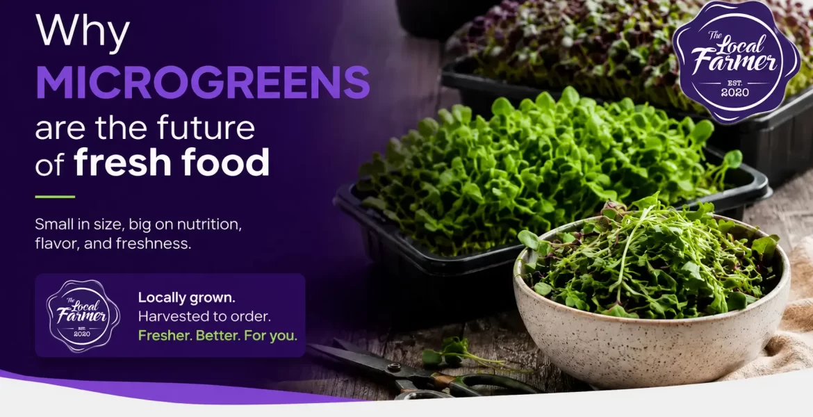 Bowl of Microgreens
