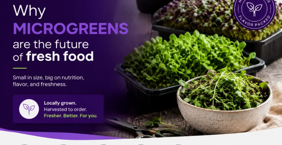 MicrogreensFuture