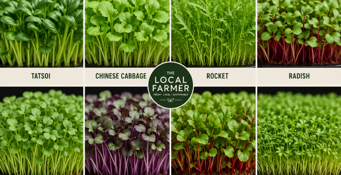 Microgreens Are Not Just One Thing: Discover the Variety on Your Plate 1 Hero